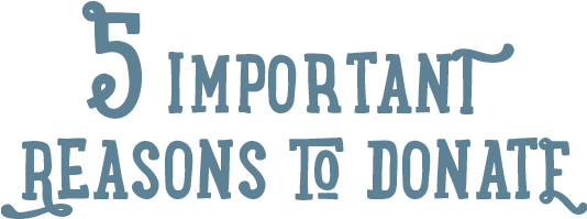 5 Important Reasons to Donate